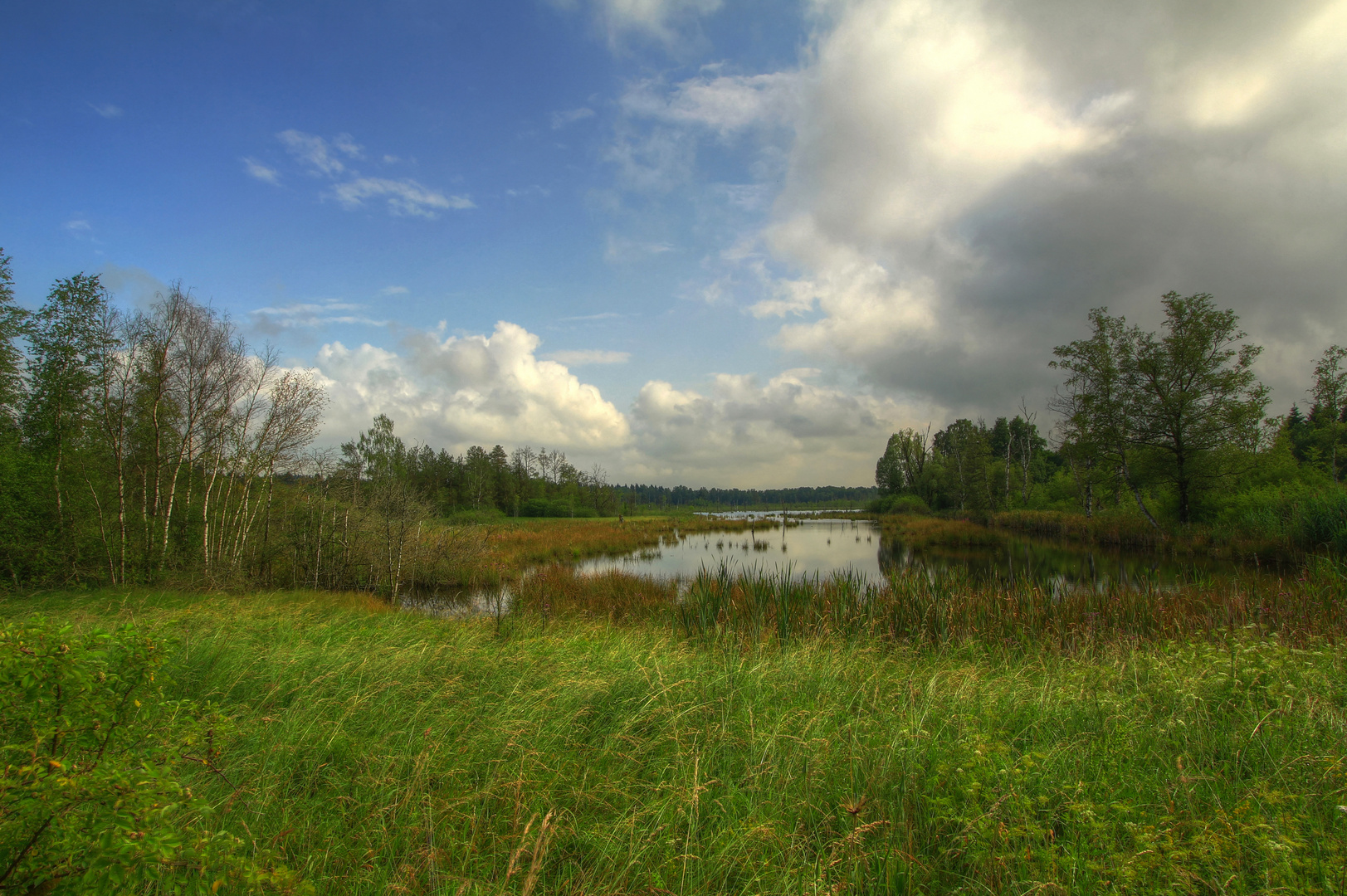 Moorlandschaft 2