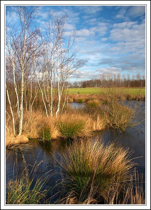 Moorlandschaft-2