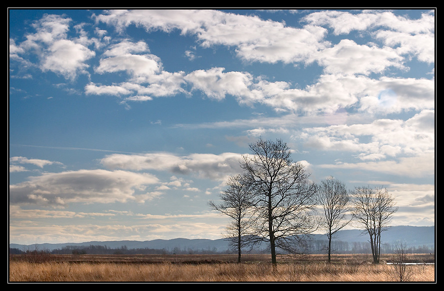 Moorlandschaft