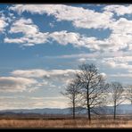 Moorlandschaft