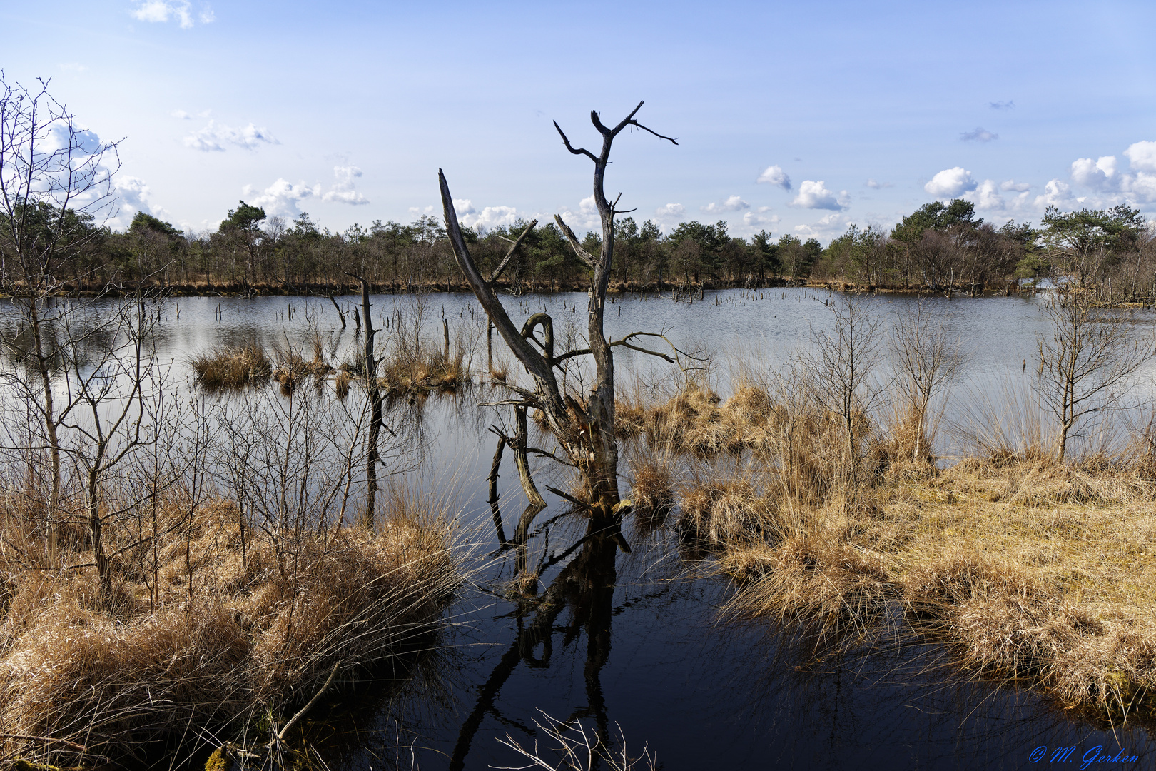 Moorlandschaft