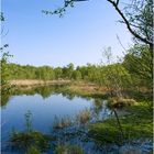 Moorlandschaft