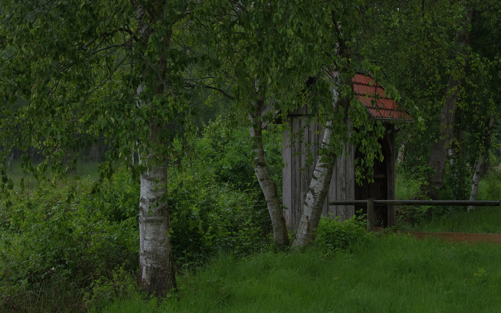 Moorlandschaft