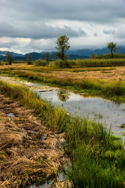 Moorlandschaft