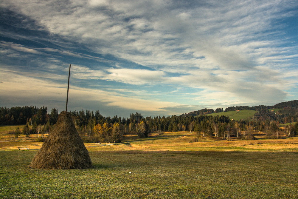 Moorlandschaft...