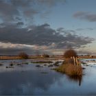 Moorlandschaft   . . .