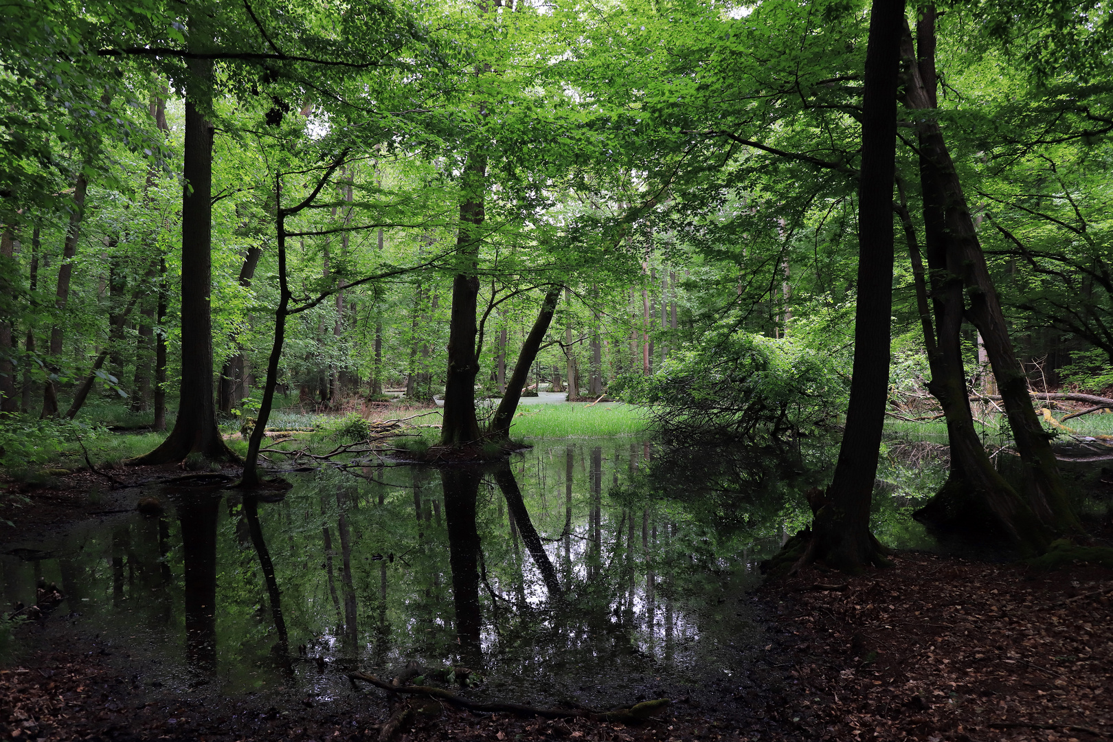 moorlandschaft