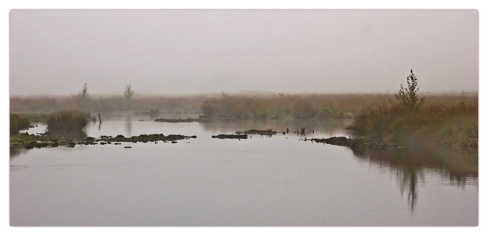 Moorlandschaft