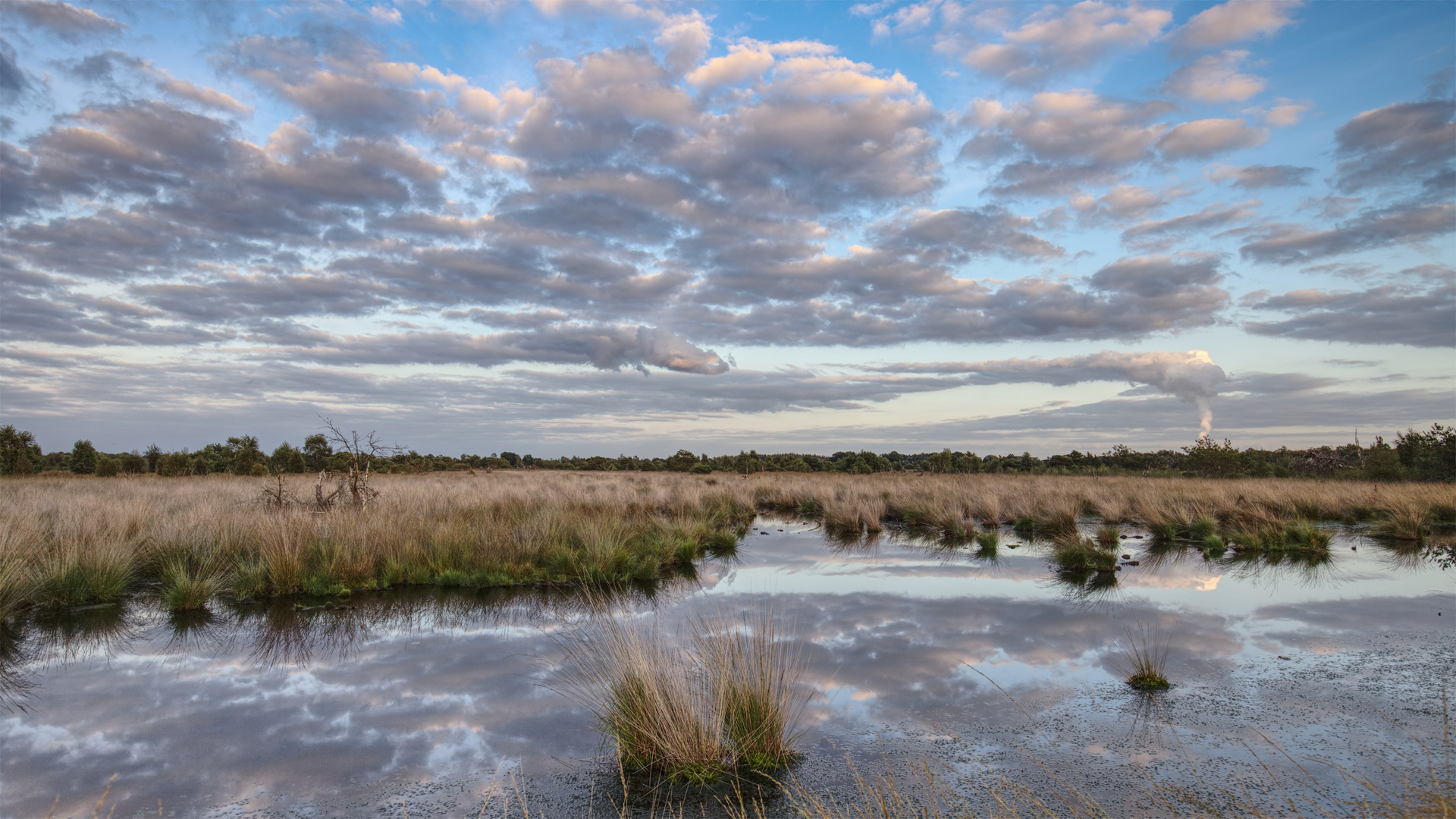 *** Moorlandschaft ***