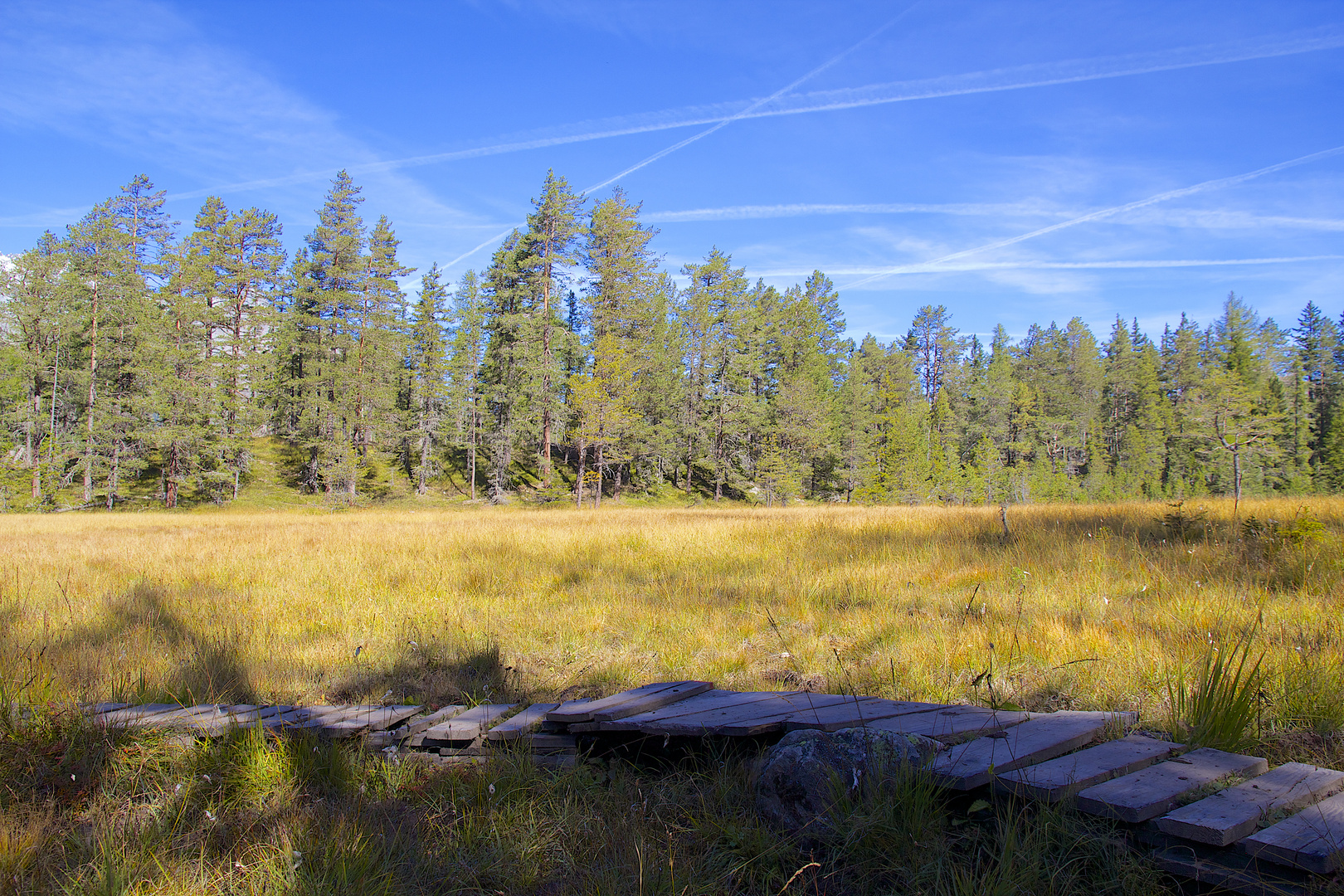 Moorlandschaft