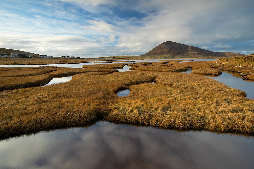 Moorlandschaft