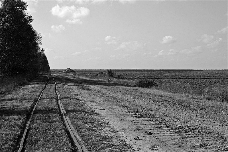 Moorlandschaft