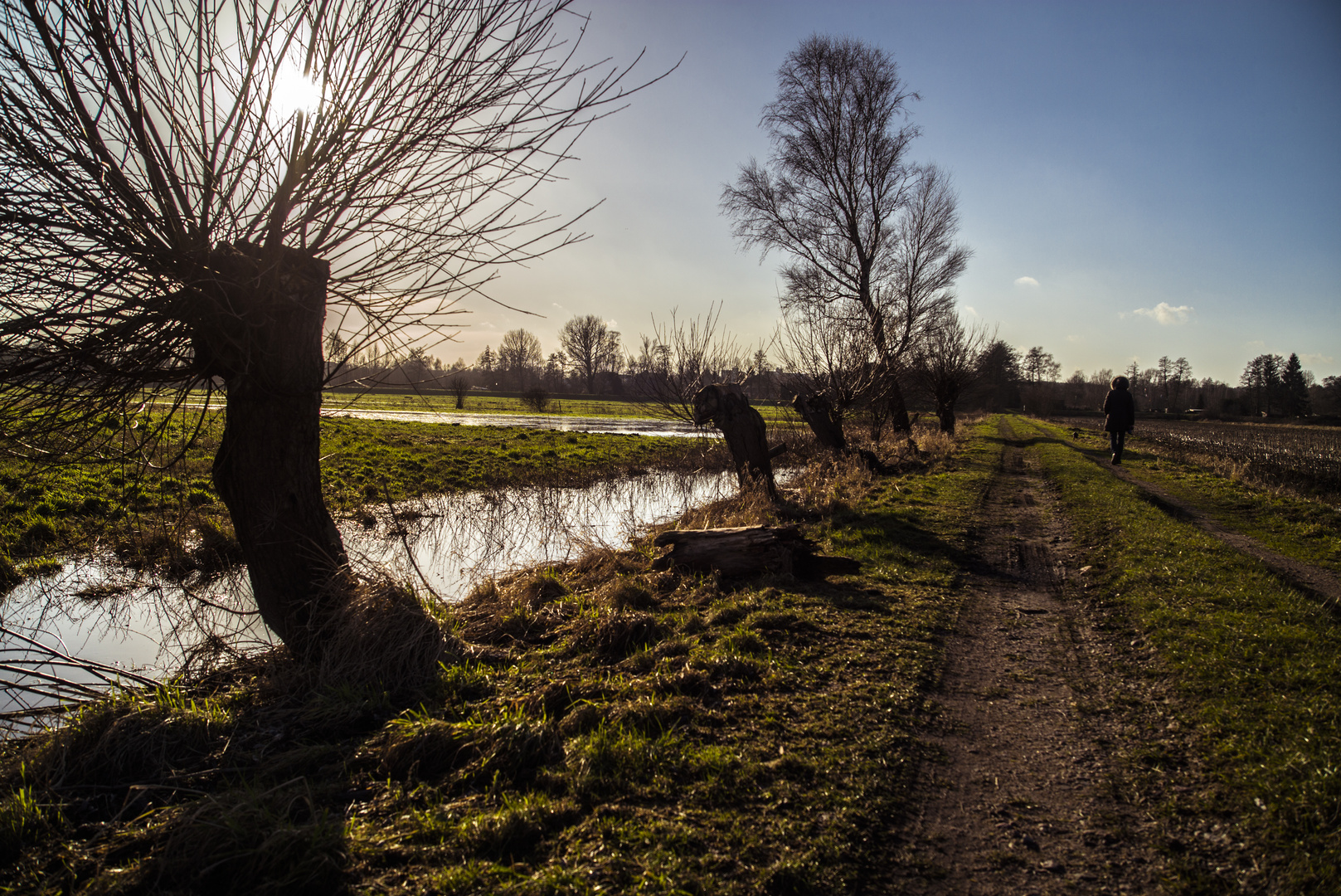 Moorlandschaft