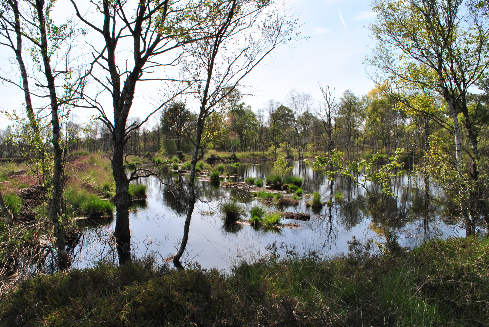 Moorlandschaft