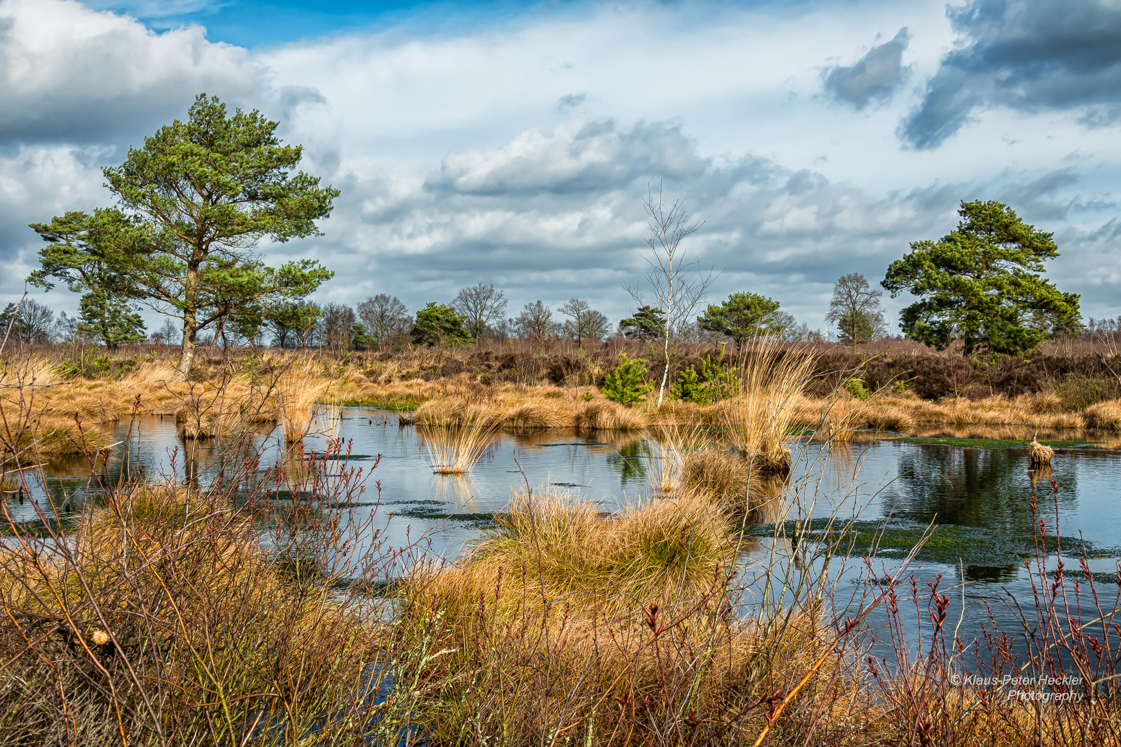 Moorlandschaft 