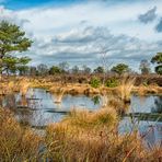 Moorlandschaft 