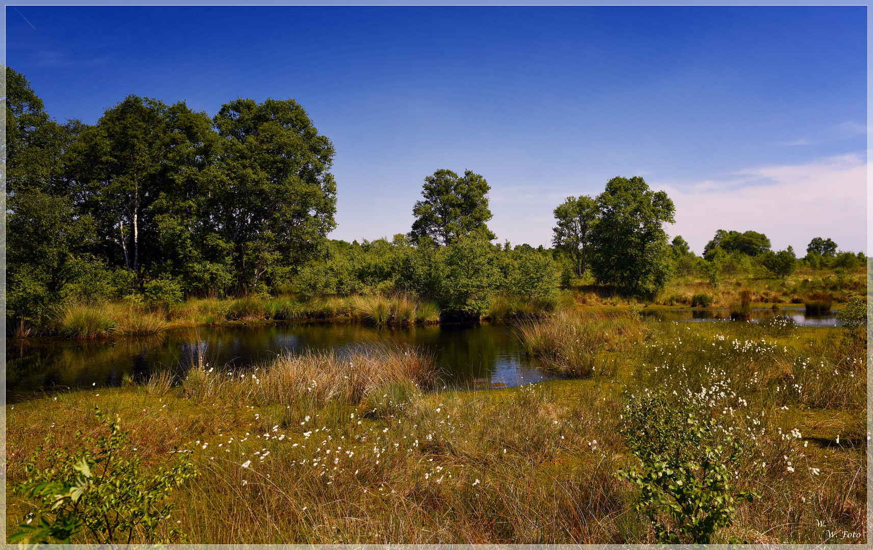 Moorlandschaft 