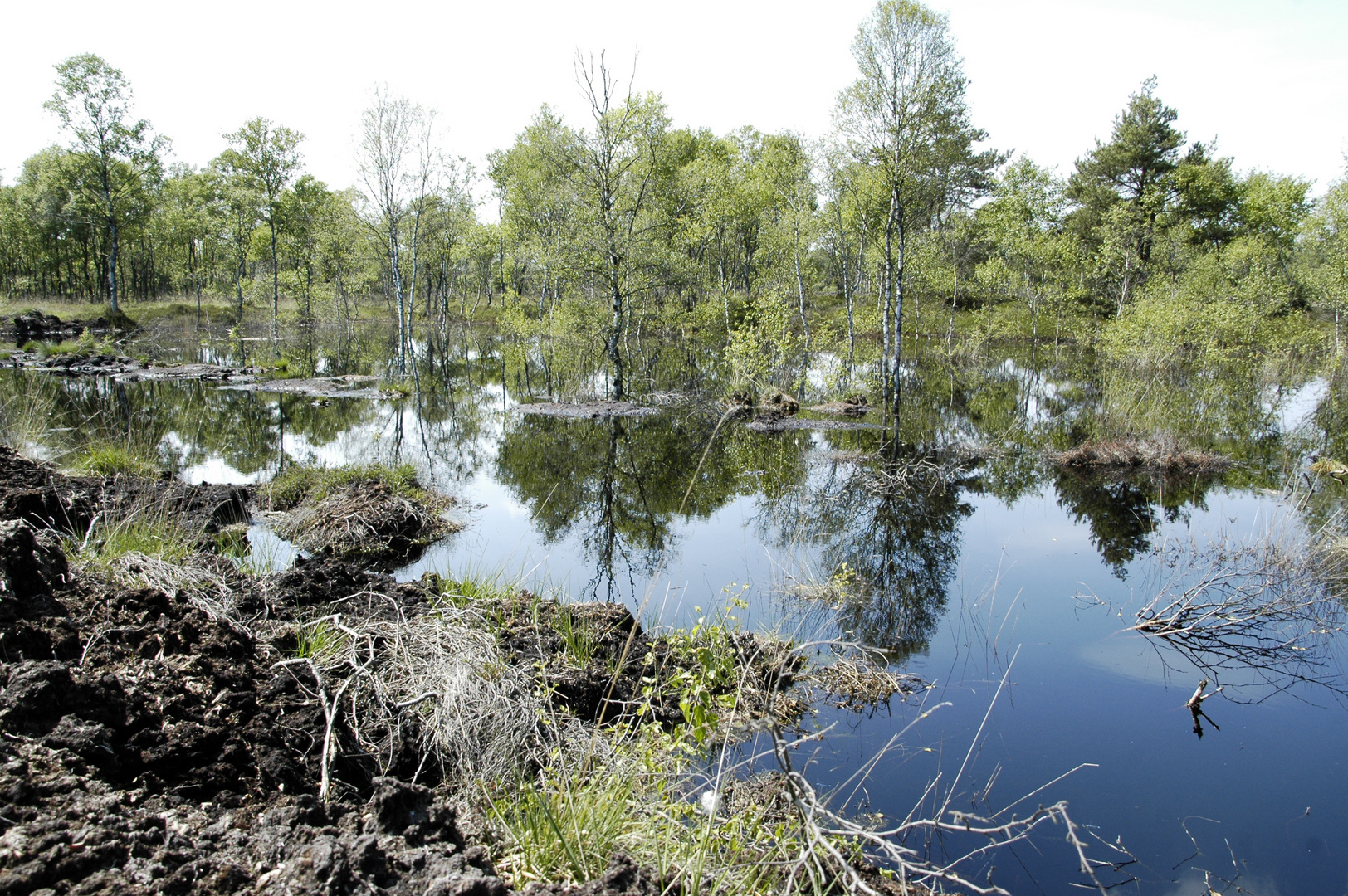 Moorlandschaft