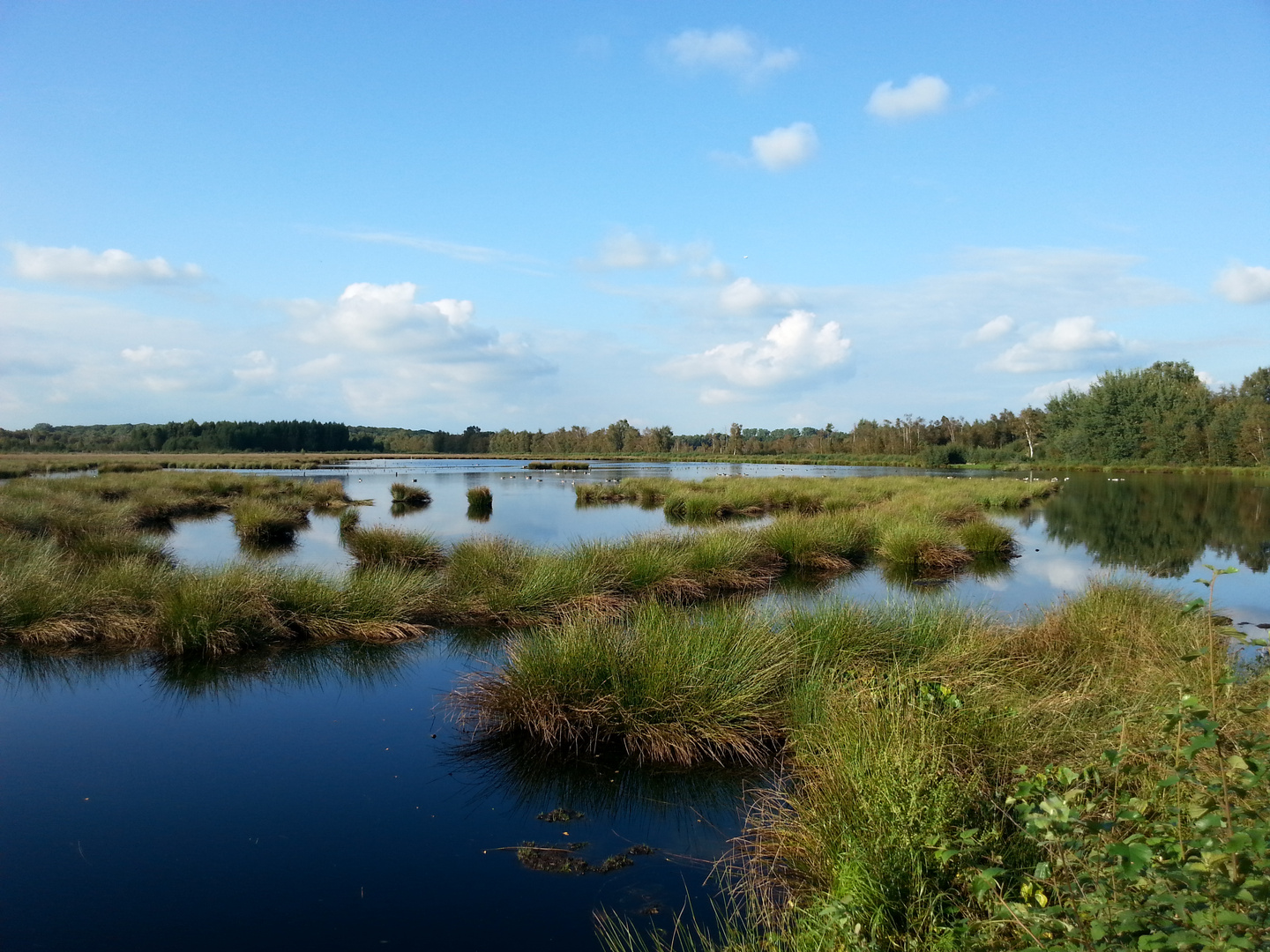 Moorlandschaft