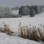 Moorlandschaft