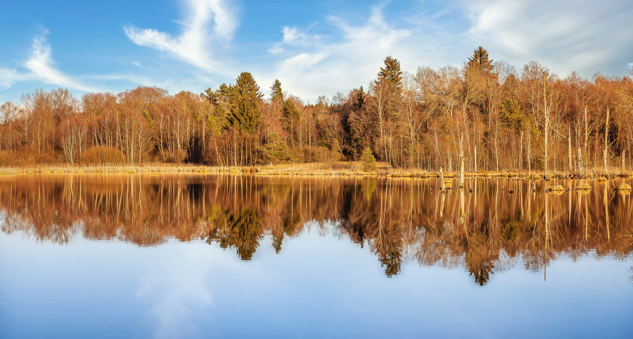 Moorlandschaft