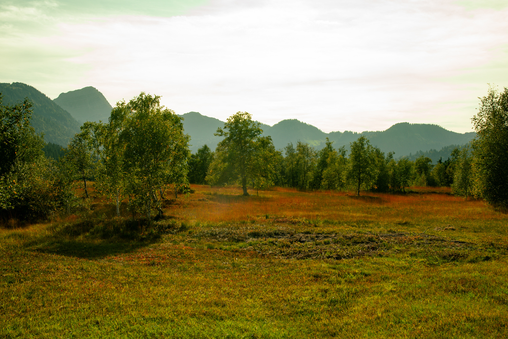 Moorlandschaft