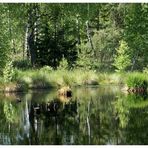 Moorlandschaft