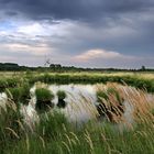 Moorlandschaft am Abend