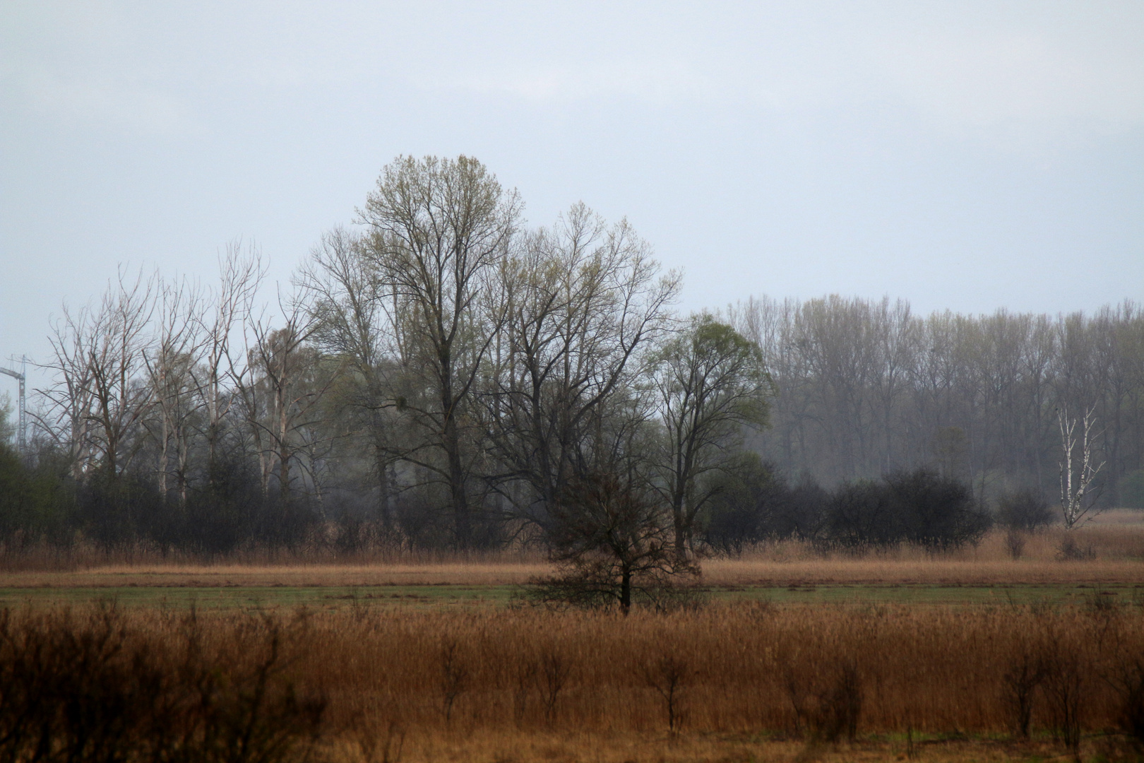 Moorlandschaft an der Amper bei Grafrath