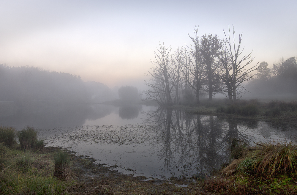 Moorlandschaft