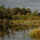 Moorlandschaft 