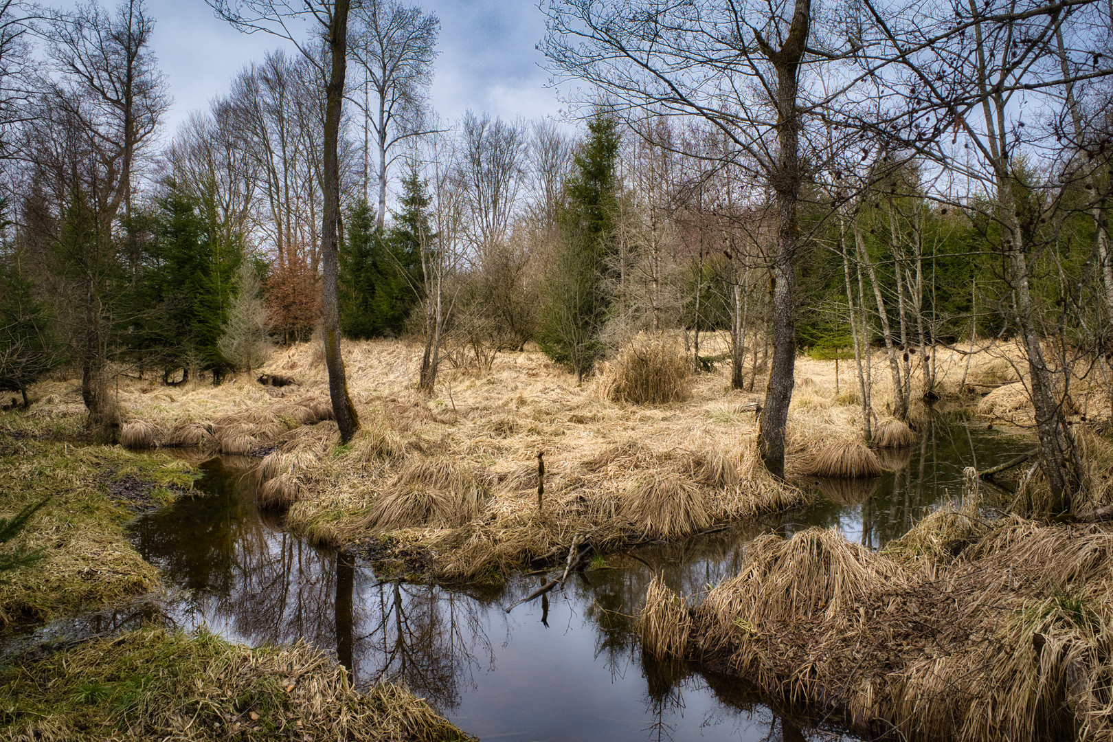 Moorlandschaft bei Maxlrain