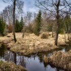 Moorlandschaft bei Maxlrain