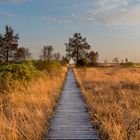 Moorlandschaft Belgien