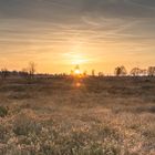 Moorlandschaft Belgien, Eupen