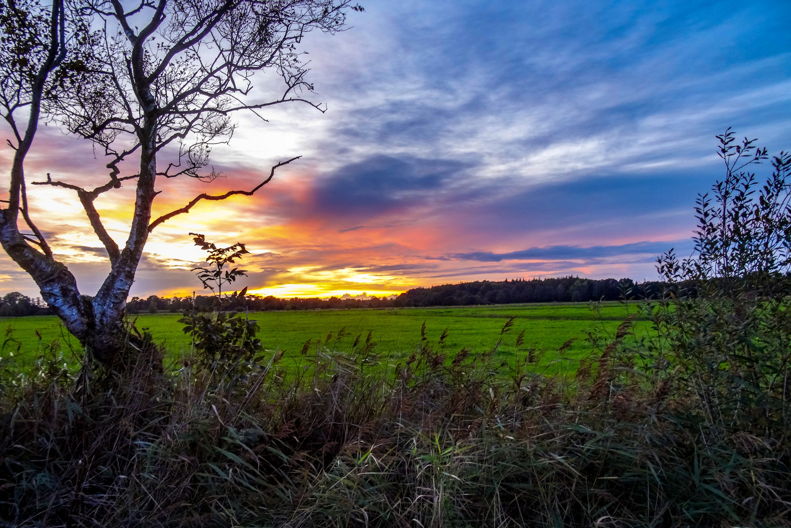 Moorlandschaft