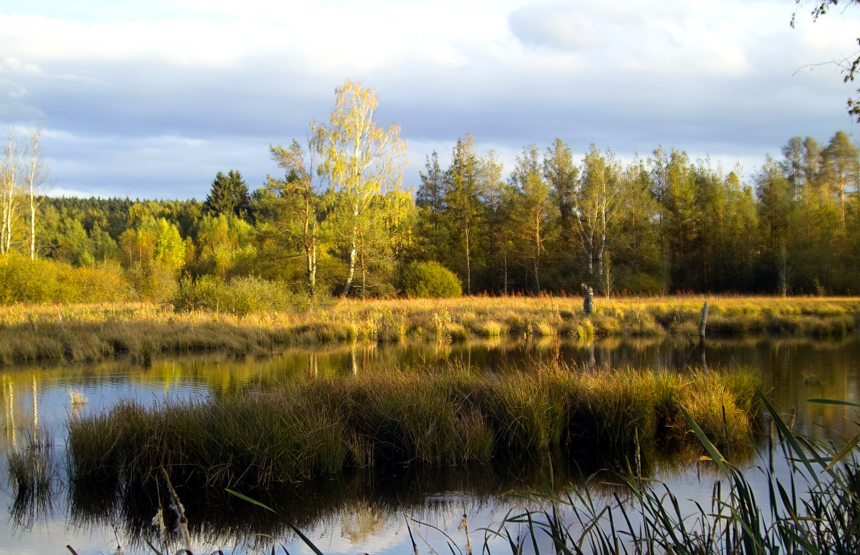 Moorlandschaft