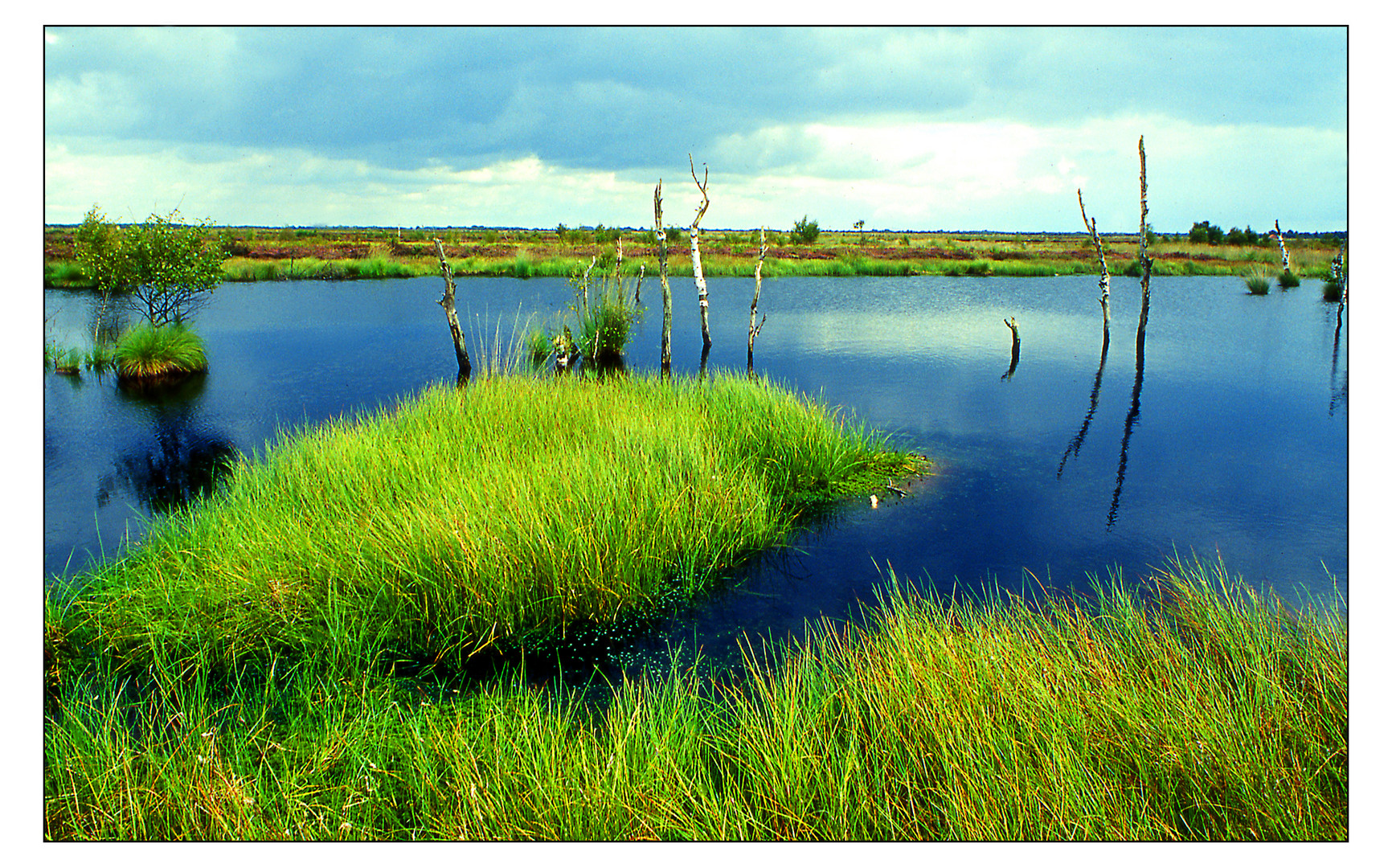 Moorlandschaft