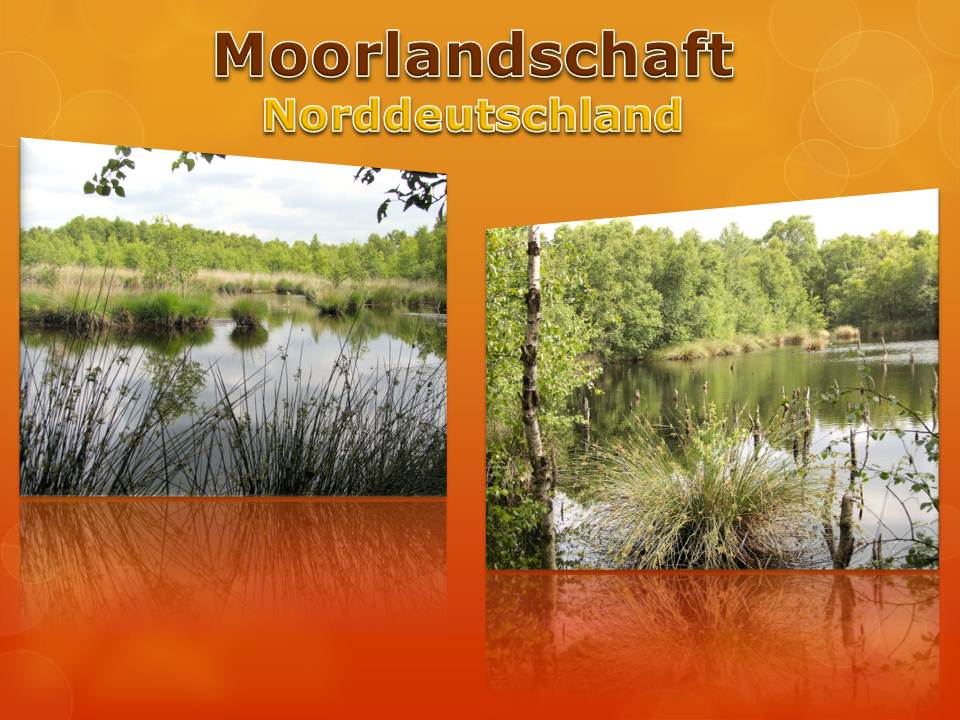 Moorlandschaft