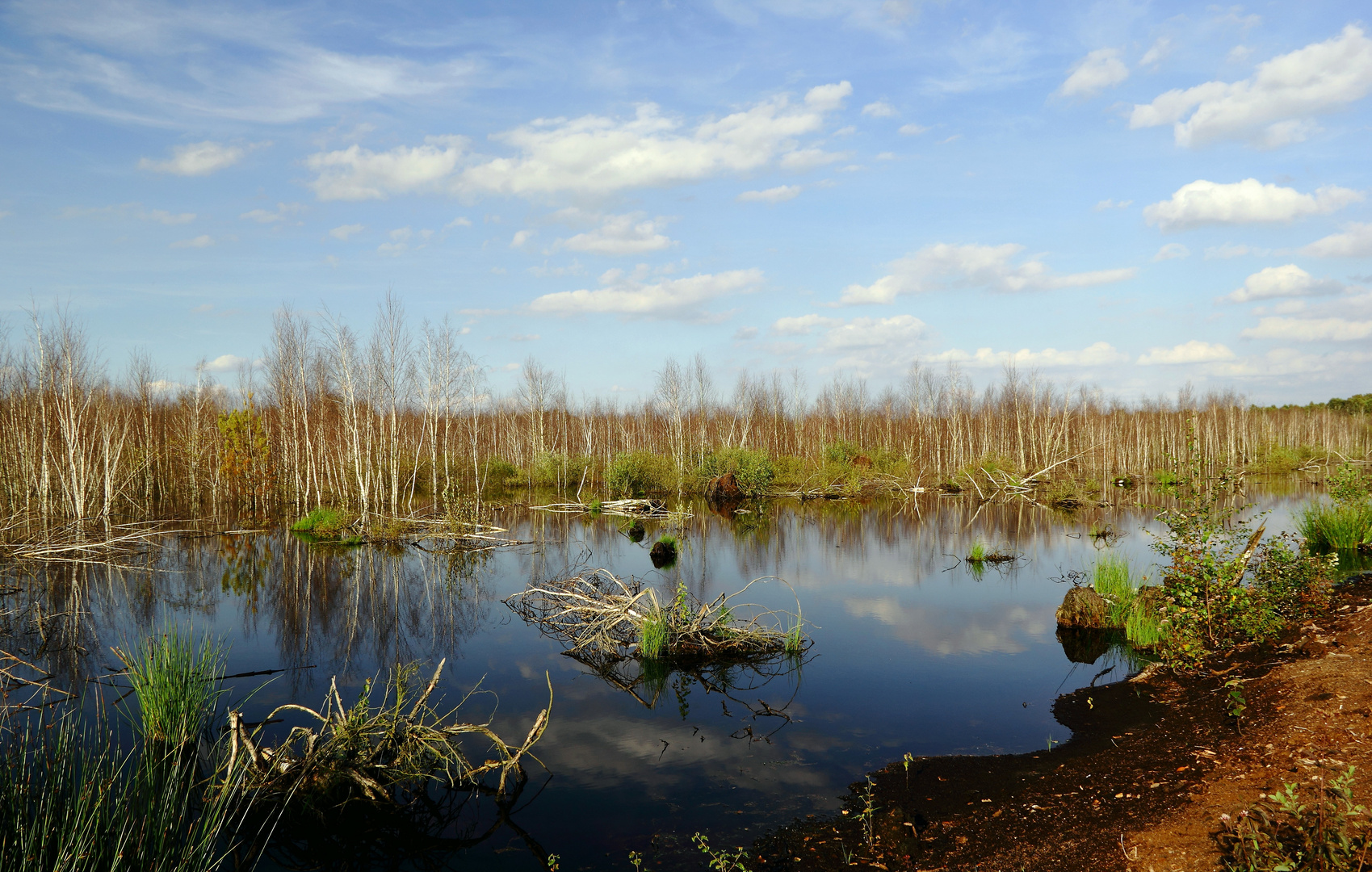 Moorlandschaft...