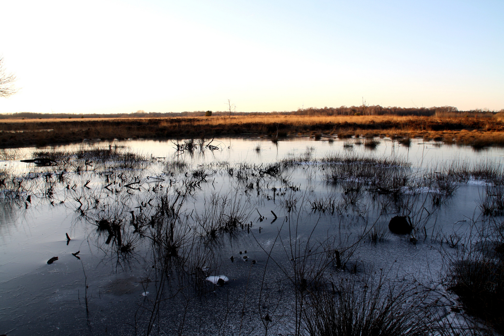 Moorlandschaft