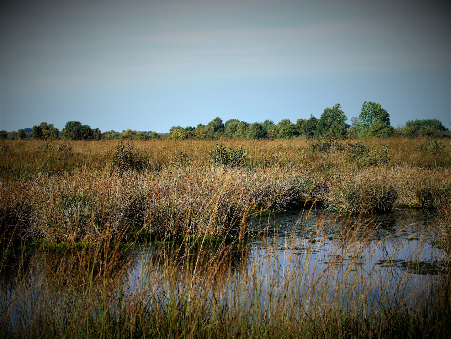 Moorlandschaft