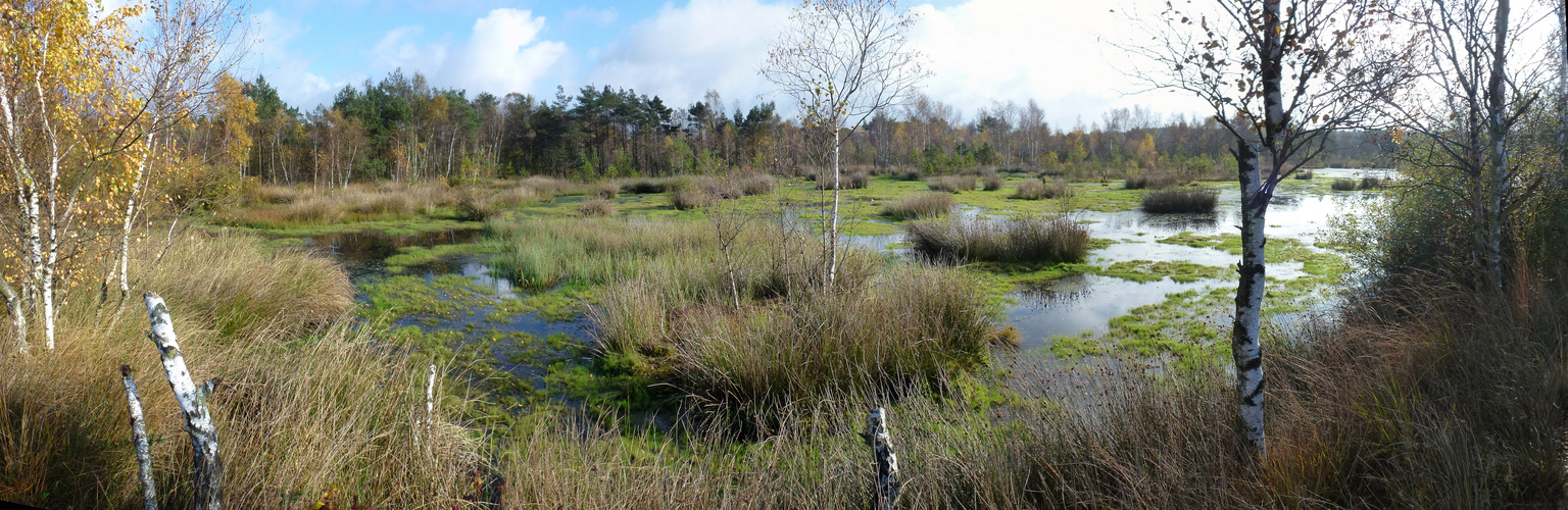 Moorlandschaft