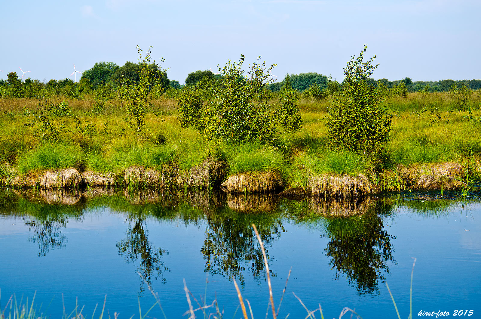 Moorlandschaft