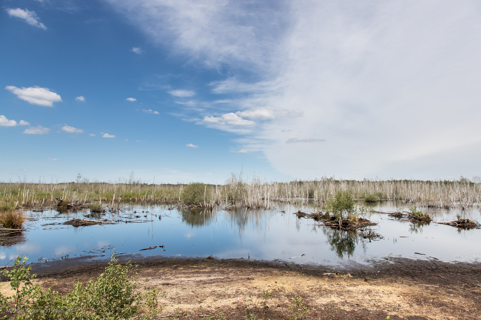 Moorlandschaft