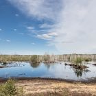 Moorlandschaft