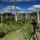 Moorlandschaft Fotografieren