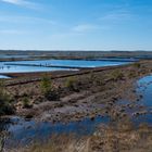 Moorlandschaft - Himmelmoor