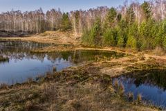 Moorlandschaft I - Steinhuder Meer