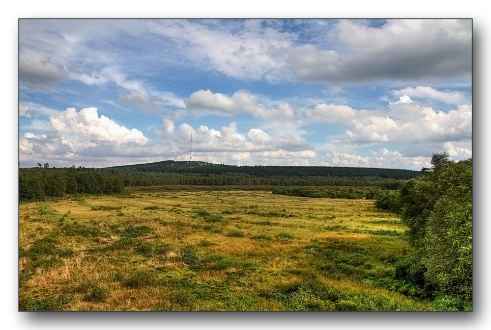 Moorlandschaft II